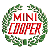 Mini Experience